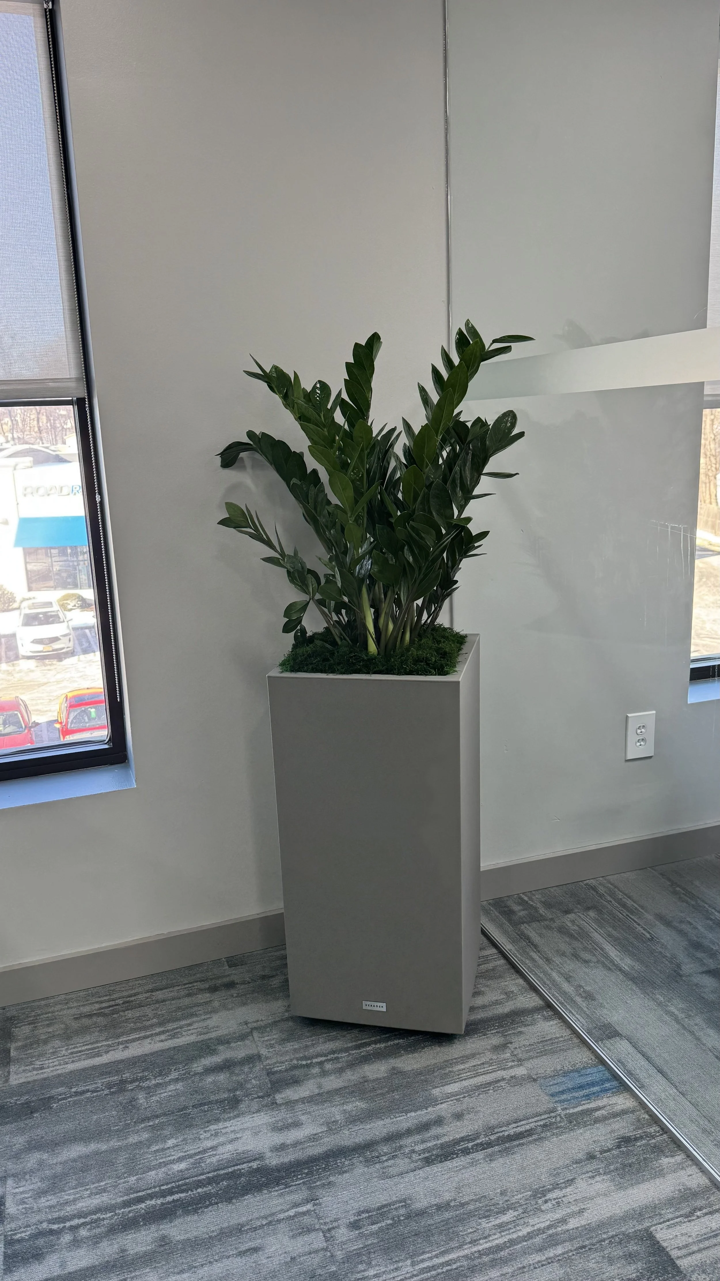 Commercial and residential plantscaping project
