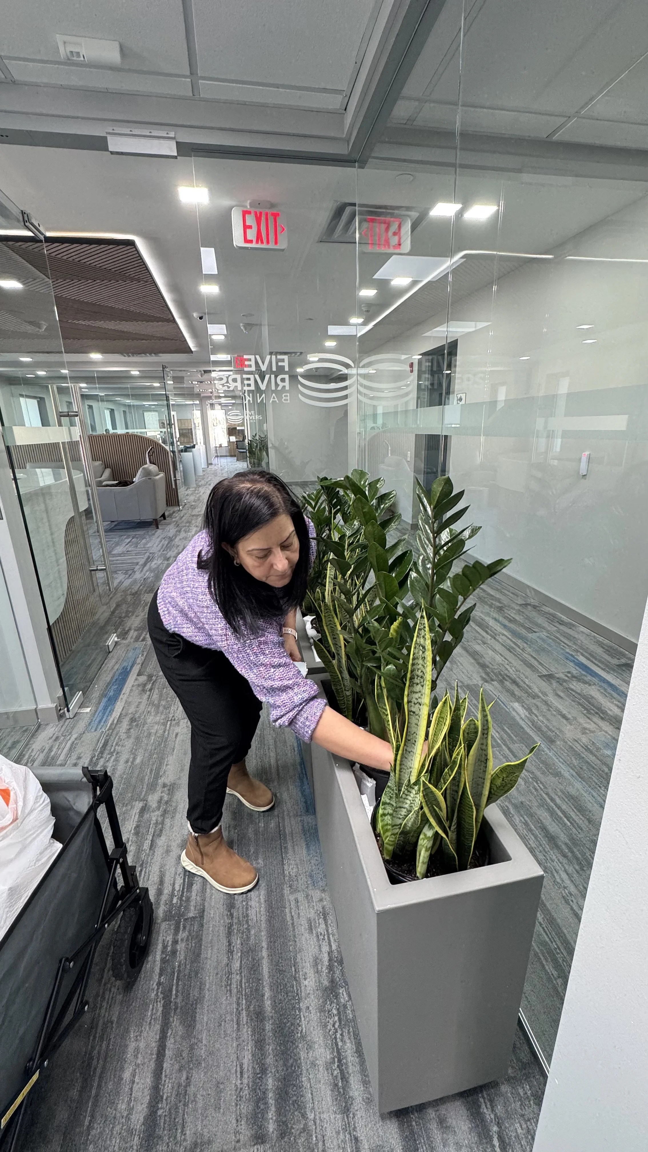 Commercial and residential plantscaping project