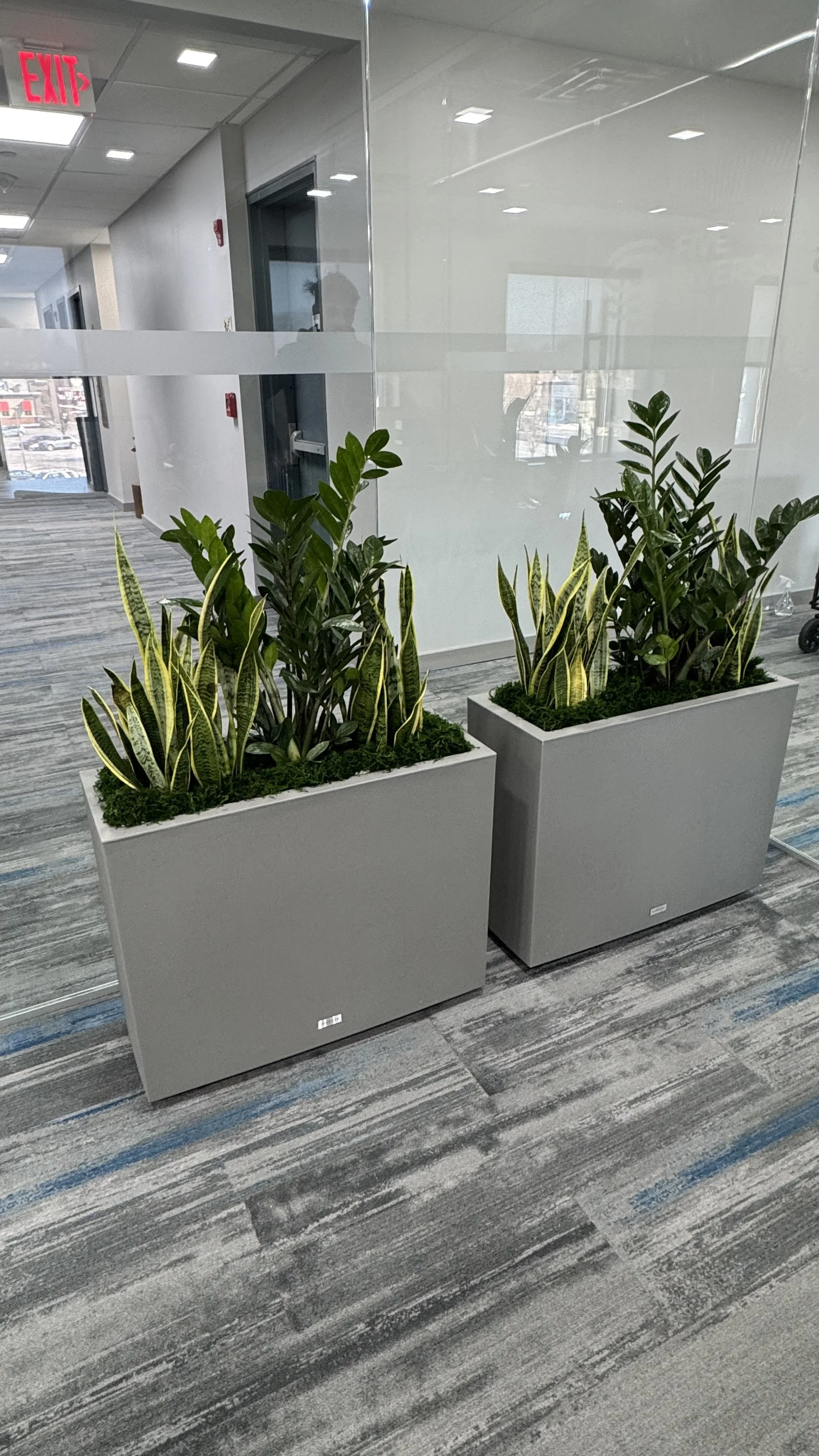 Commercial and residential plantscaping project
