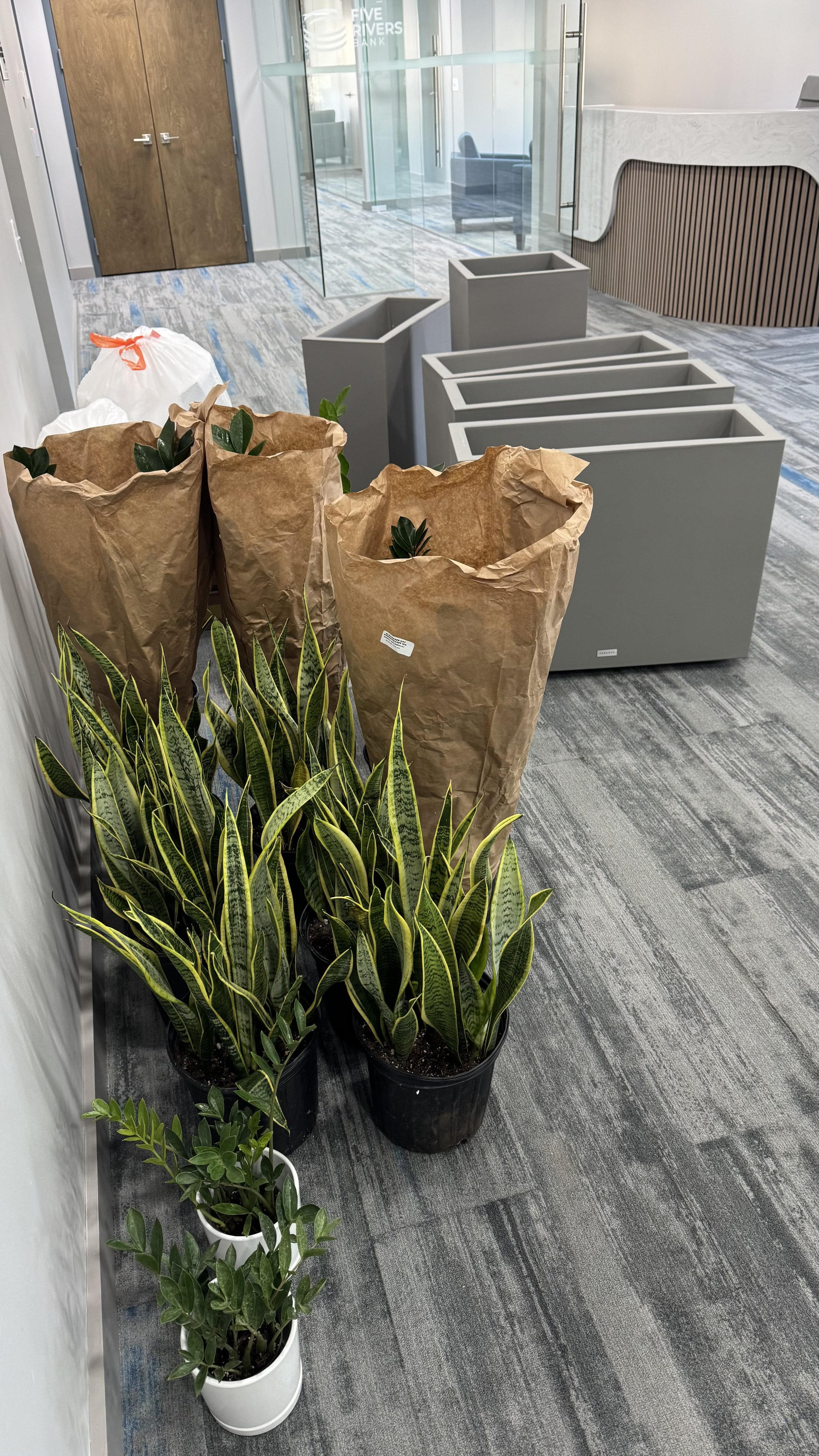 Commercial and residential plantscaping project