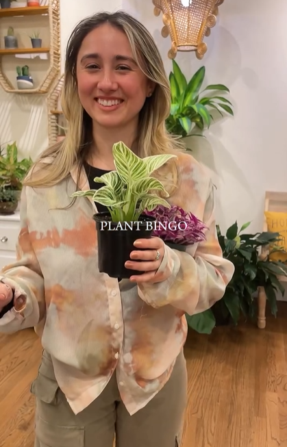 Plant Bingo