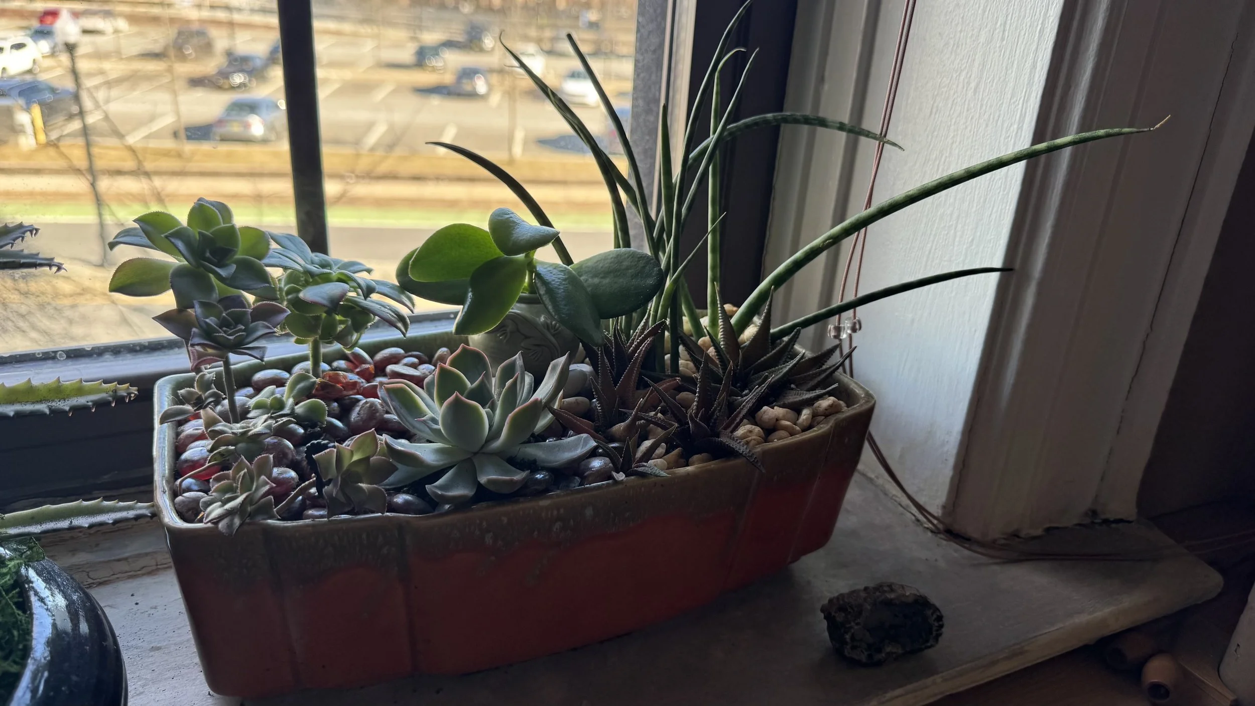 Commercial and residential plantscaping project