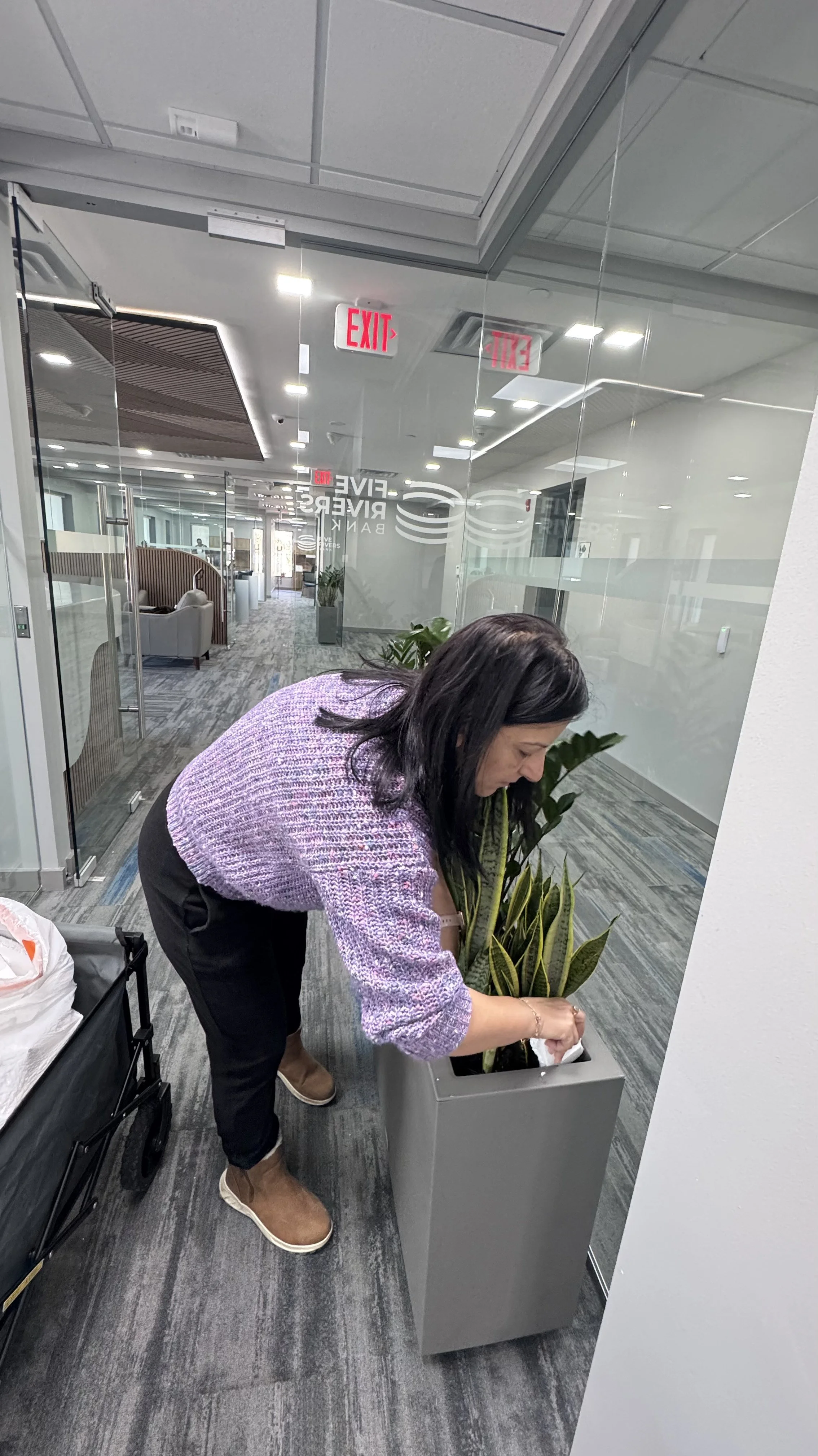 Commercial and residential plantscaping project