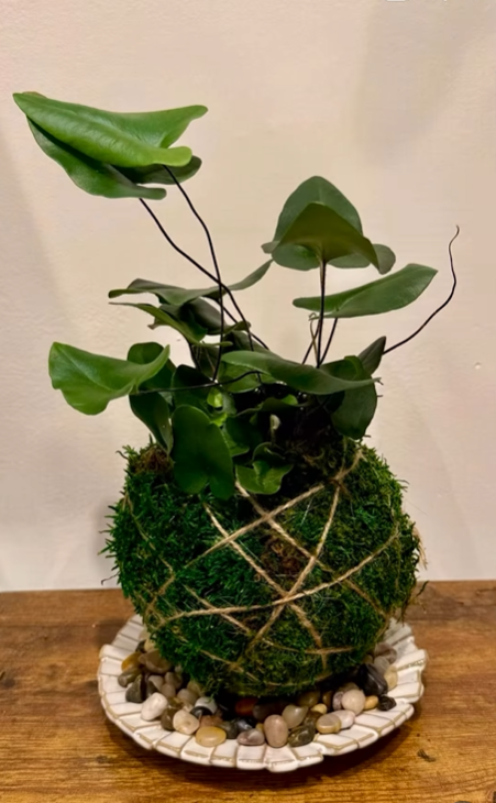 Kokedama workshop