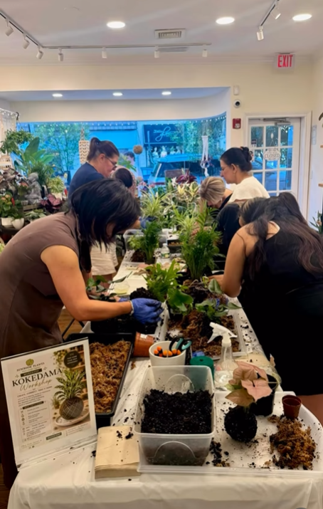 Kokedama workshop