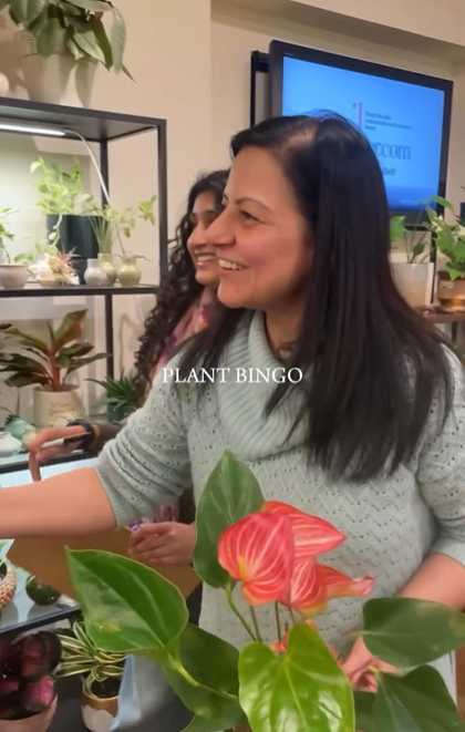 Plant Bingo