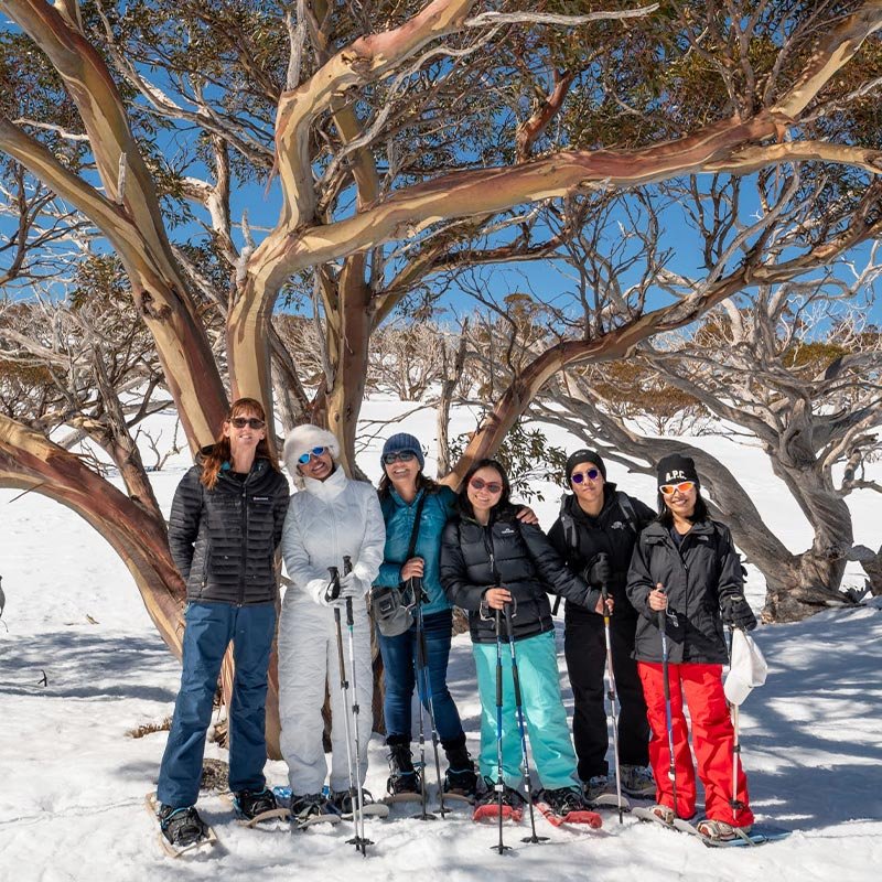 Porcupine Rocks — half-day snowshoe from Perisher