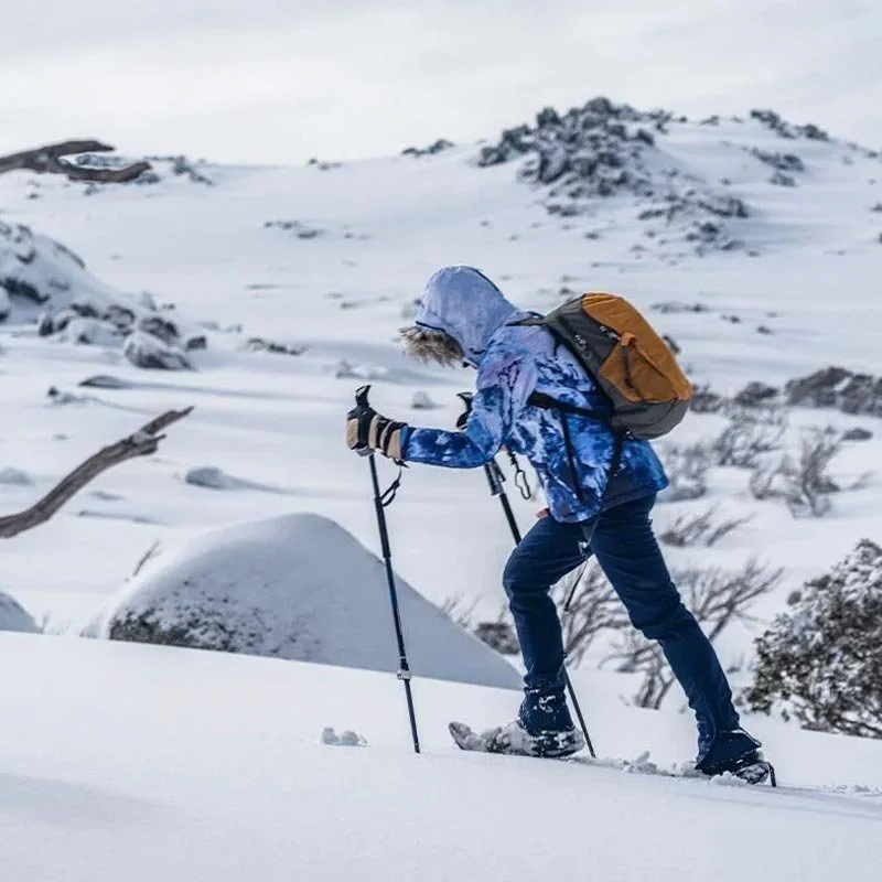 Winter Ascent of South Ramshead — full-day snowshoe