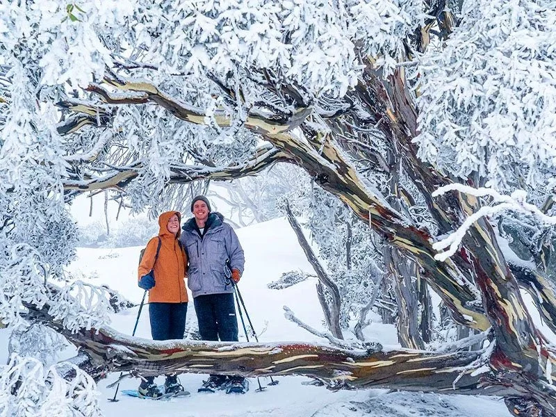 Snowshoeing in the Snowy Mountains