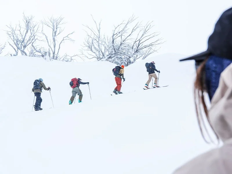 Backcountry Clinics
