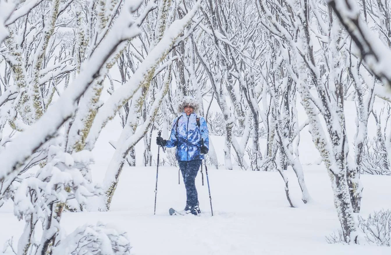 Winter Ascent of South Ramshead — snow gum forest to open summit