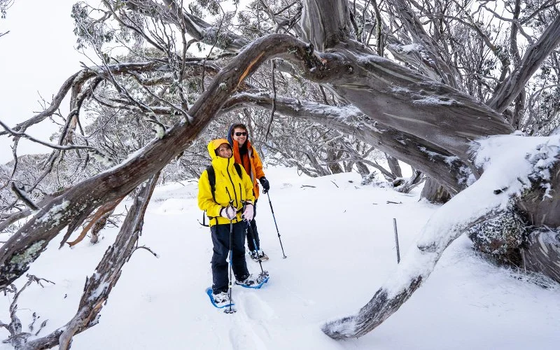 Alpine Women's Retreat