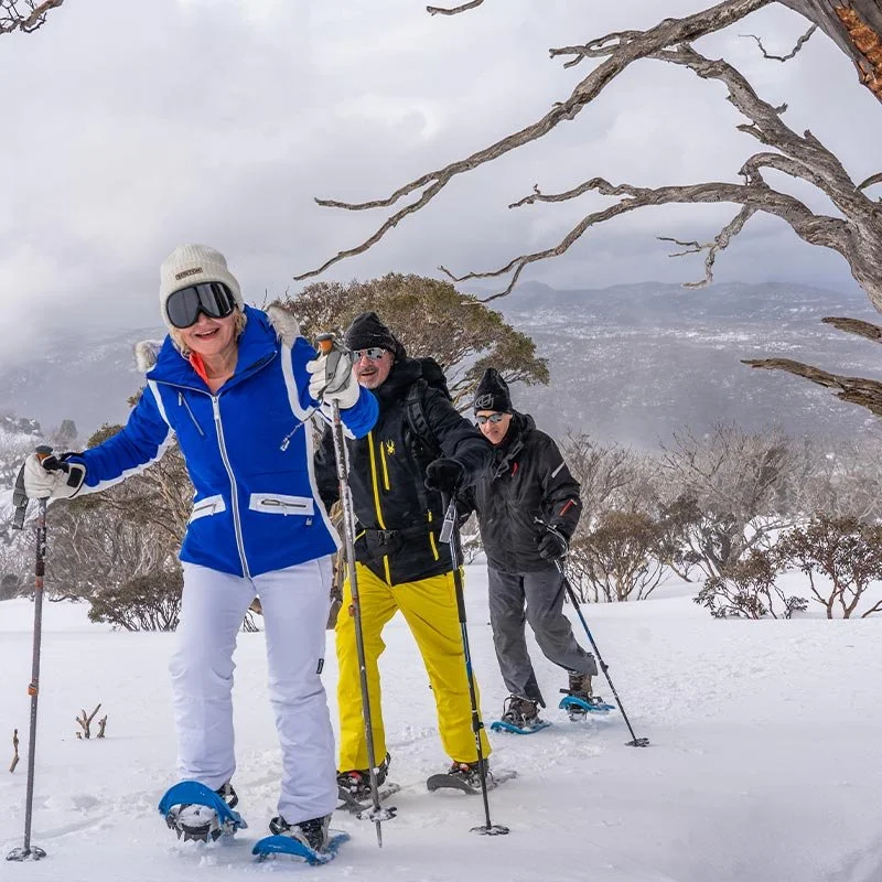 Ramshead Ramble — half-day snowshoe from Thredbo