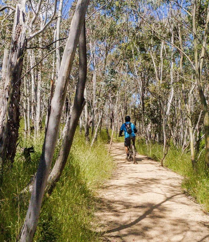 Advanced Tour: Lower TVT