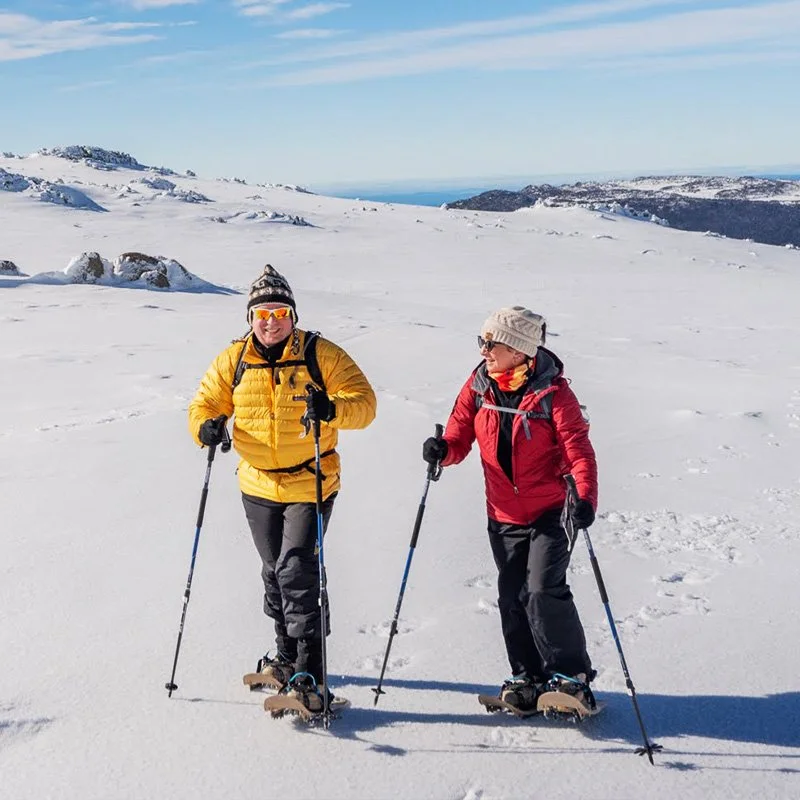 Snowshoeing in the Snowy Mountains