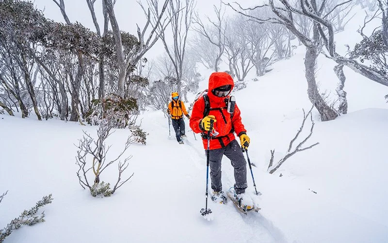 Snowshoeing