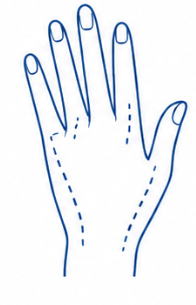 Hands