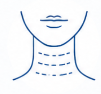 Neck Bands