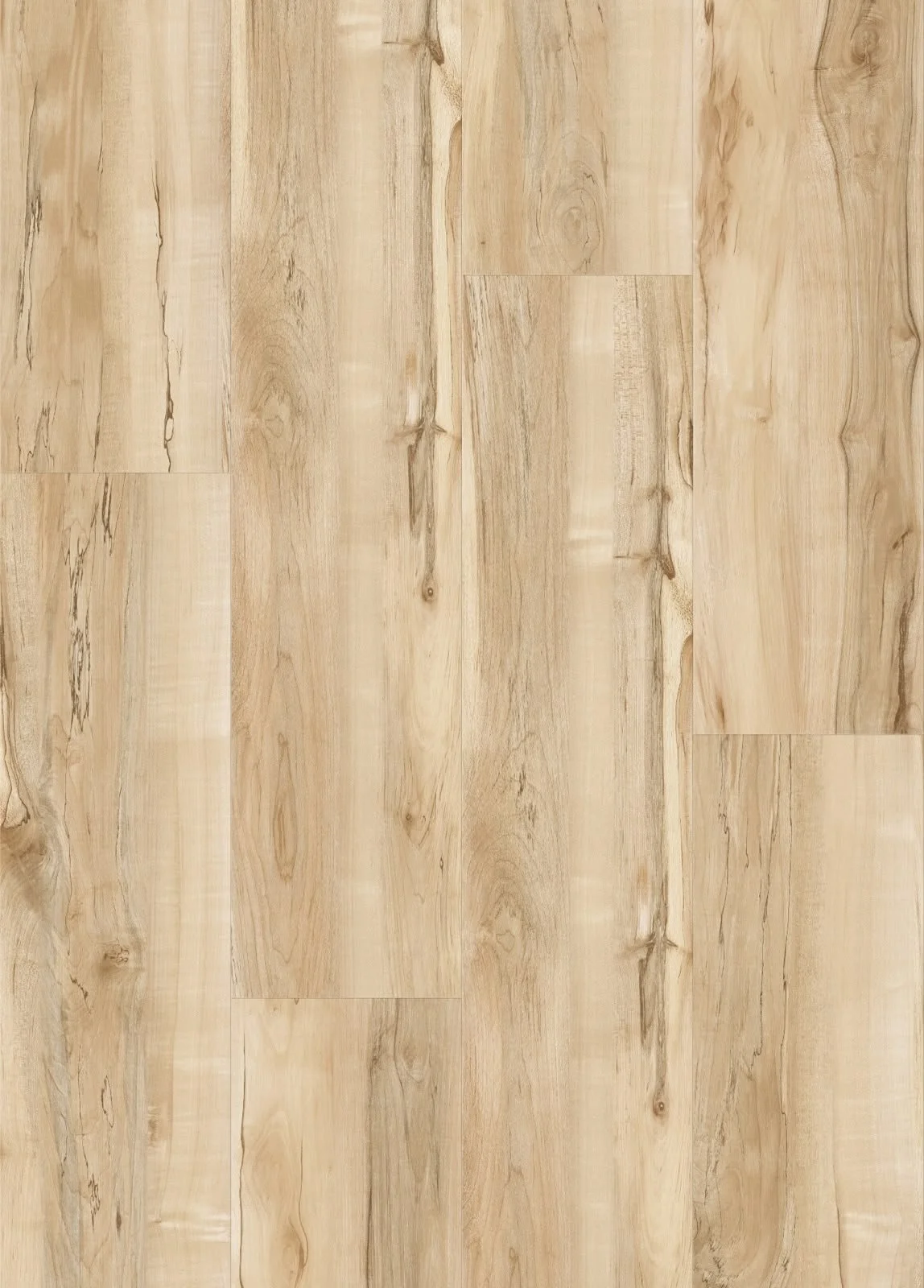 Toscara Application Scene