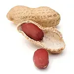 Peanut allergy testing and oral immunotherapy for Great Neck families