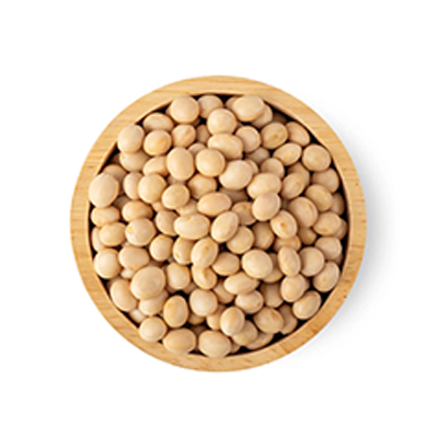Soy allergy diagnosis and desensitization in New York