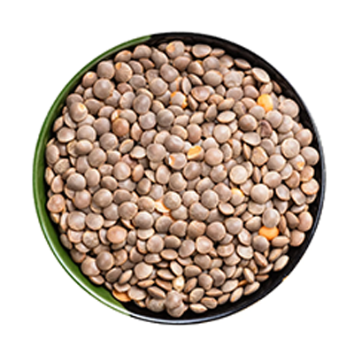 Lentil allergy evaluation at NY Food Allergy and Wellness