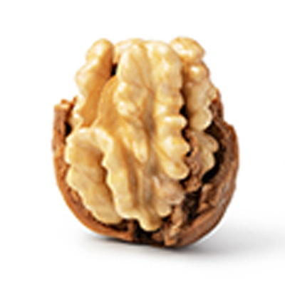 Walnut allergy testing and desensitization in New York