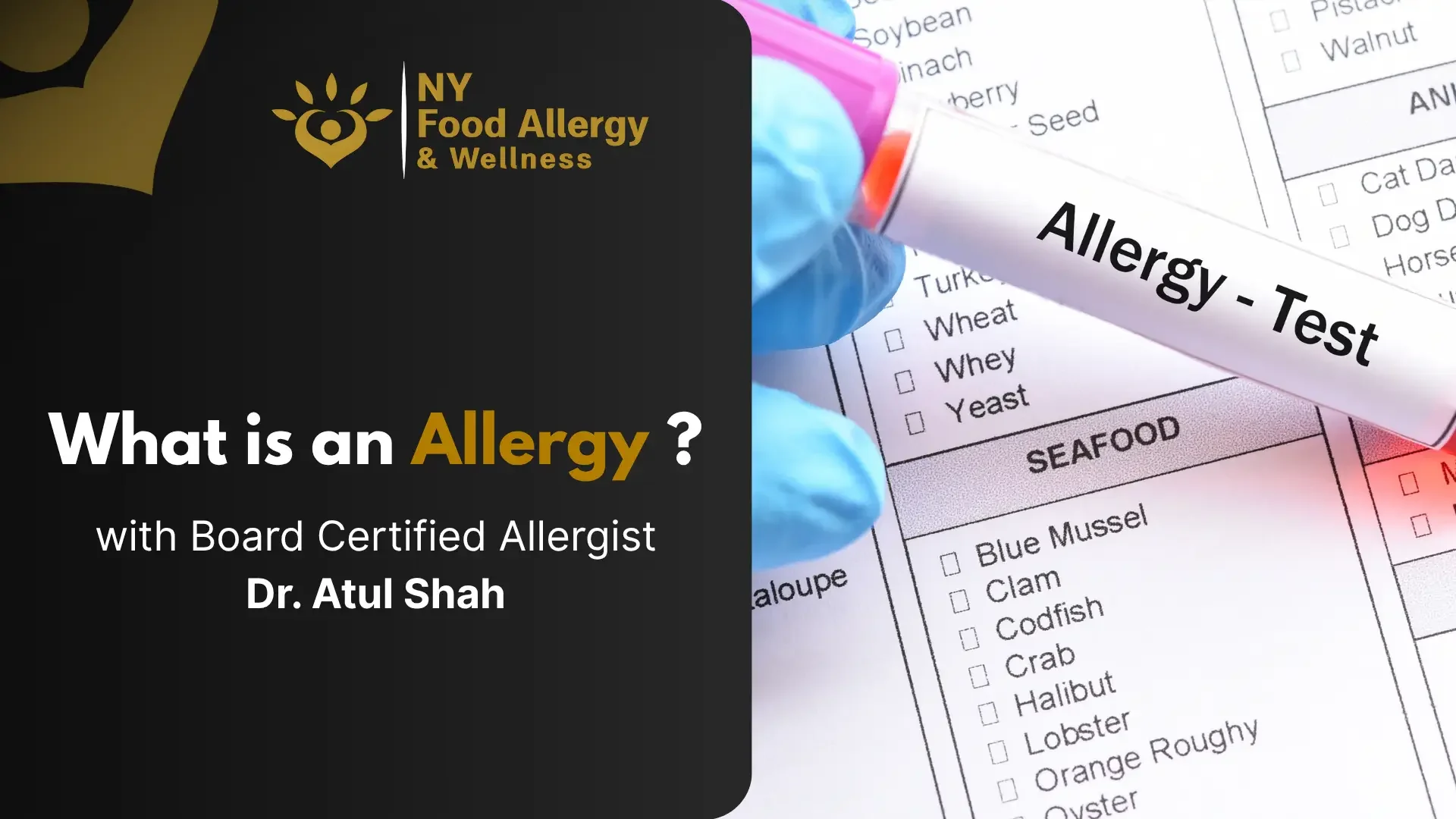 What is an allergy? Video thumbnail – NY Food Allergy & Wellness