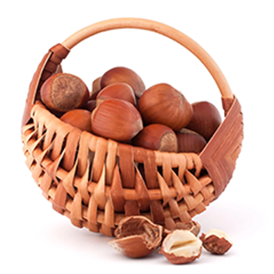Hazelnut allergy testing and OIT for Great Neck families