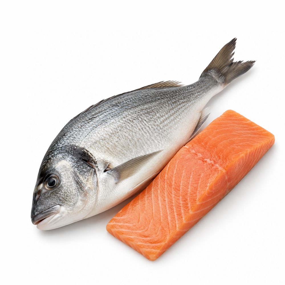 Whole fish and salmon fillet on a white background