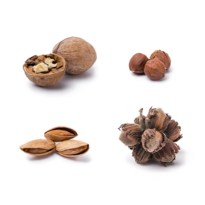 Tree nut allergy care for children and adults in New York