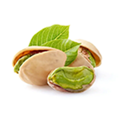 Pistachio allergy testing and treatment for Great Neck families