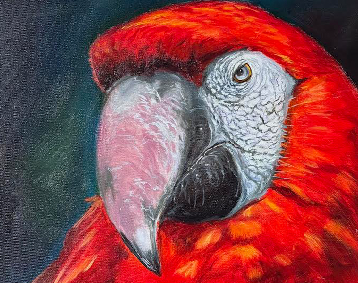Wildlife Paintings