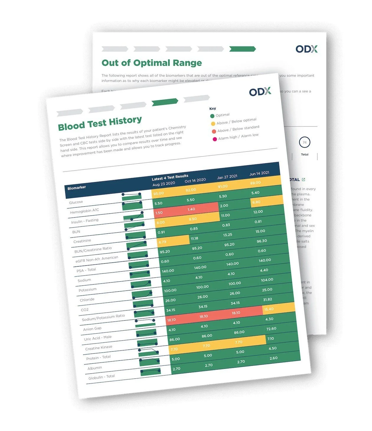 ODX blood test history report preview for wellness testing context