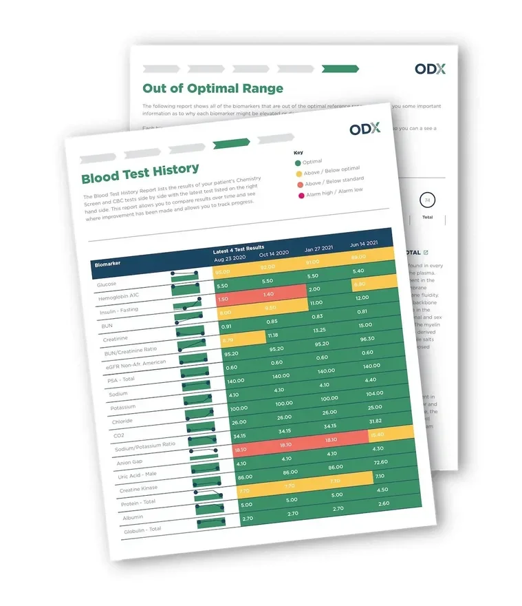 Sample functional blood work report used to organize biomarker trends