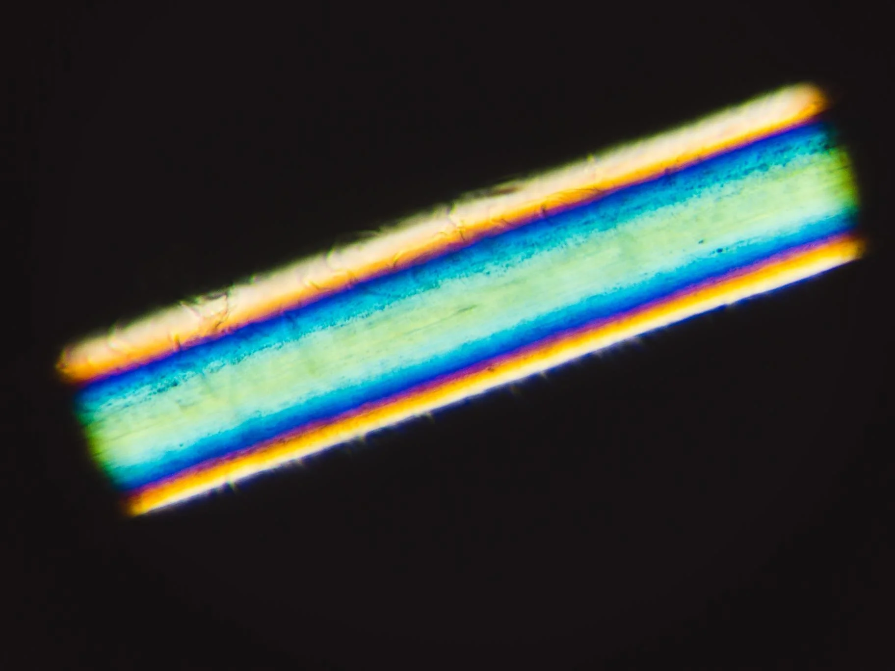 Example of a hair shaft viewed under polarized light, with blue and yellow detail against a dark background.