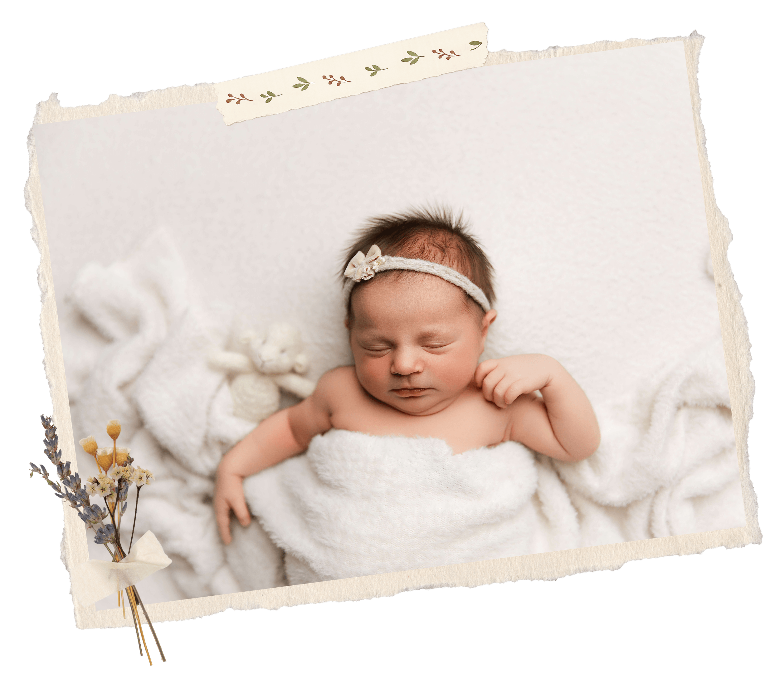 Grow With Me first-year photography collection by Lama's Littles Photography in Allen, Texas