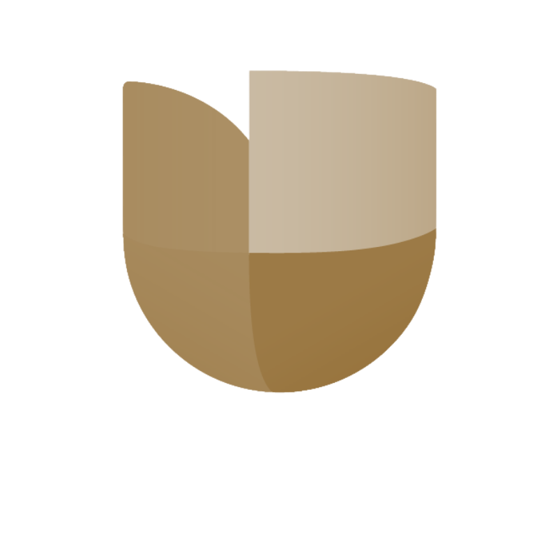 Logo 1