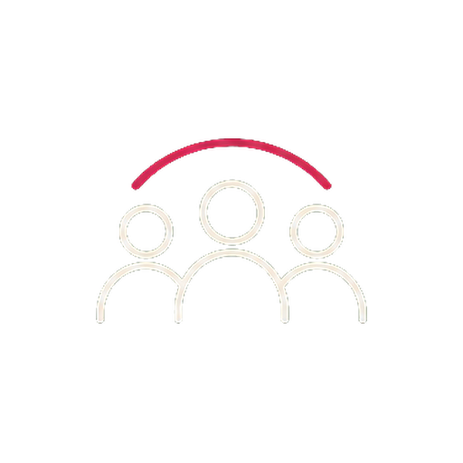 Connection icon