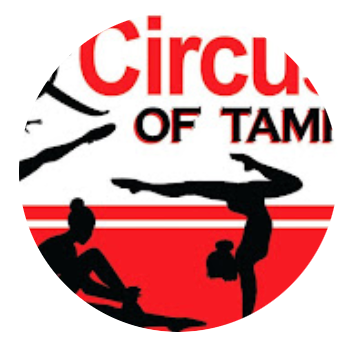 Dance and Circus Arts of Tampa Bay logo