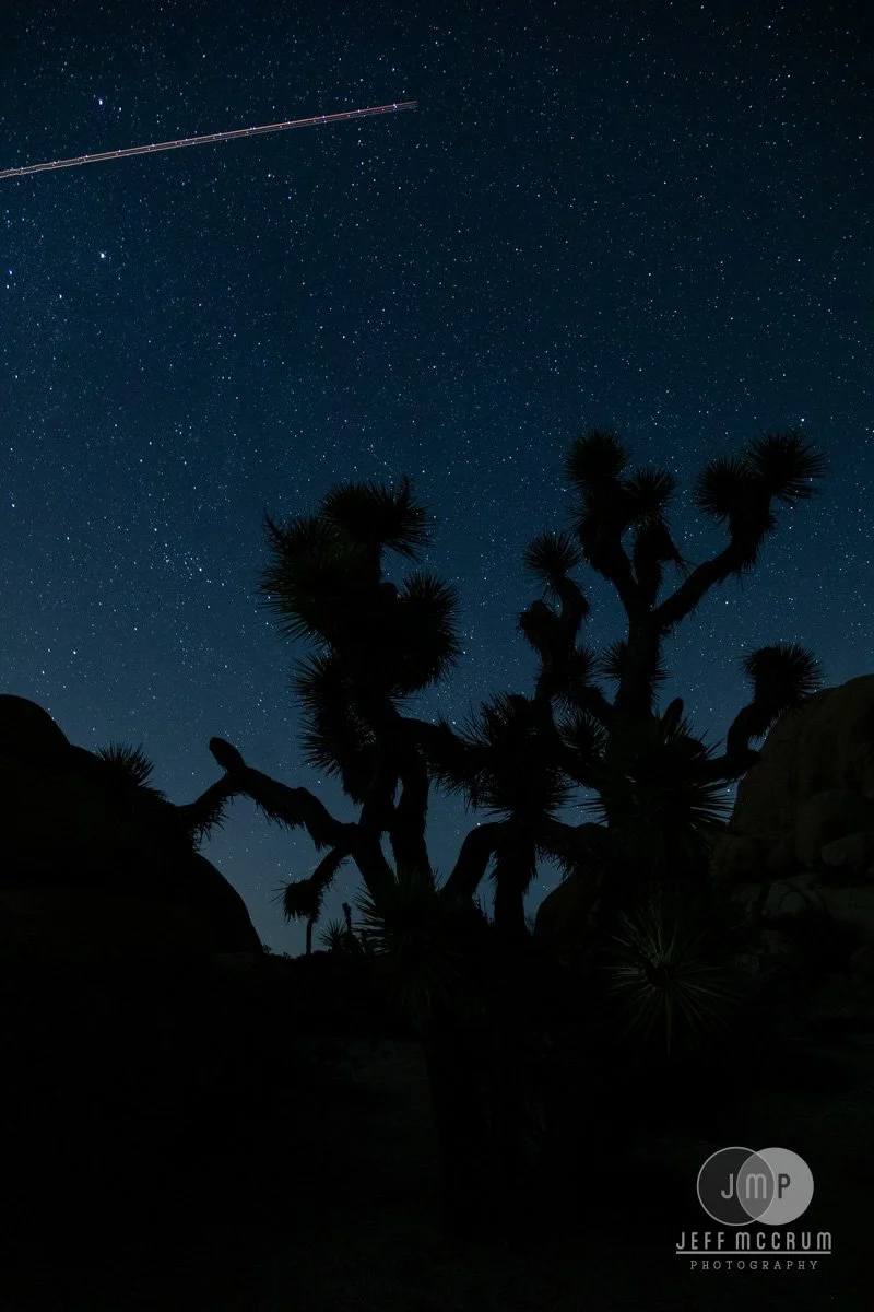 Starlight