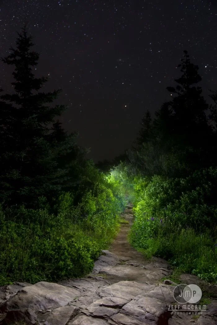 Night