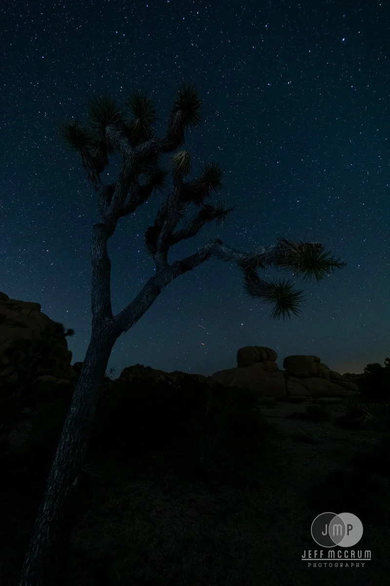 Starlight