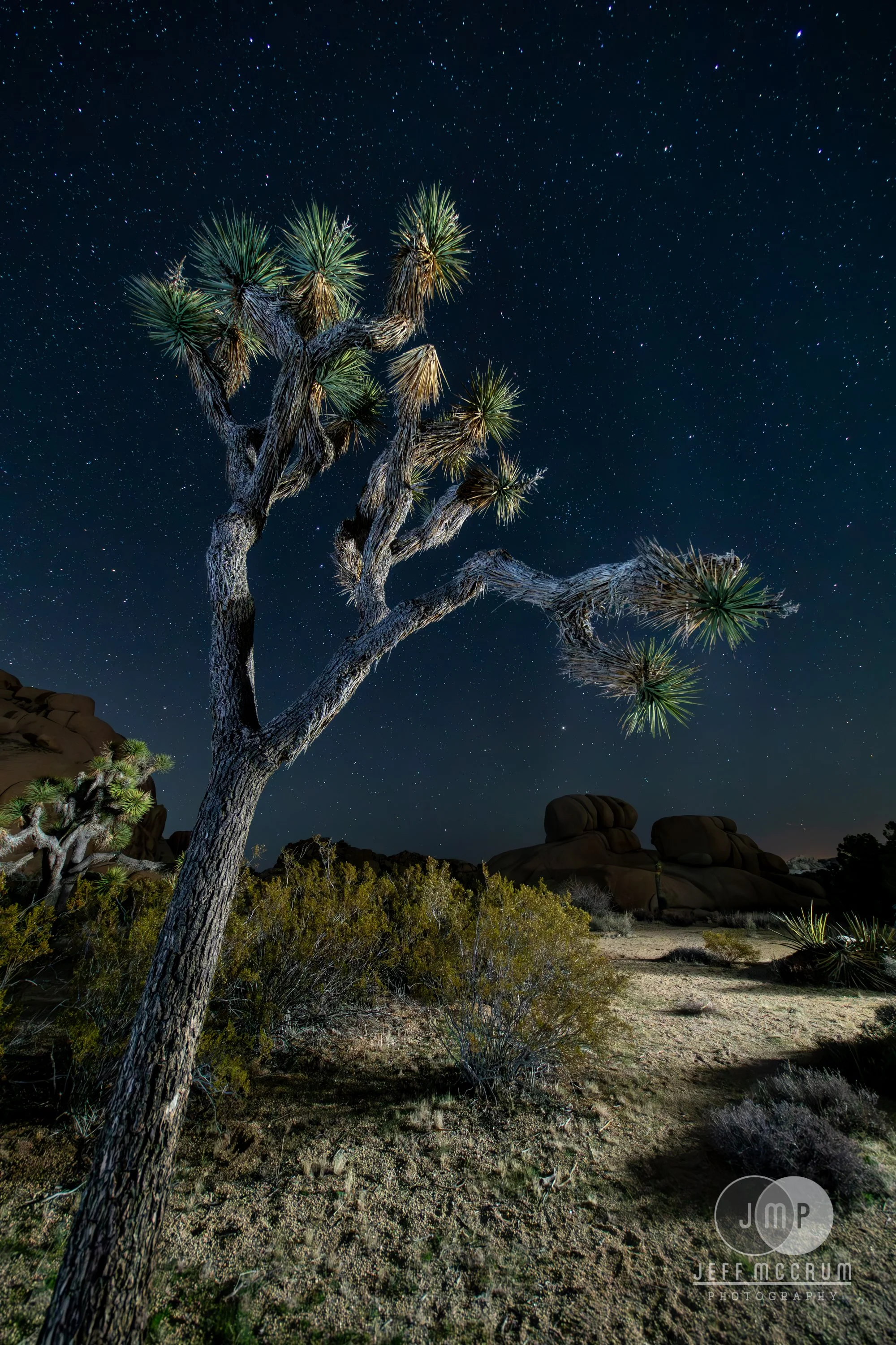 Light Painted