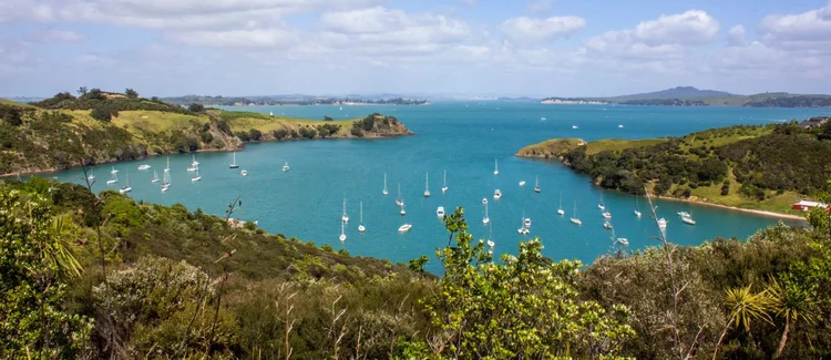 AWBF2024  VEC Banner