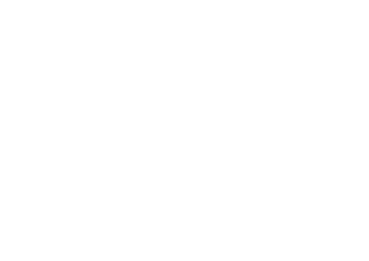 Amalinda Safari Collection — established 1990