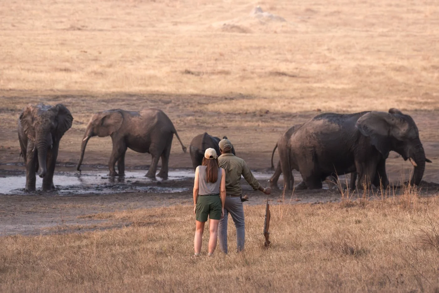 A guest and guide watching elephants beside a waterhole