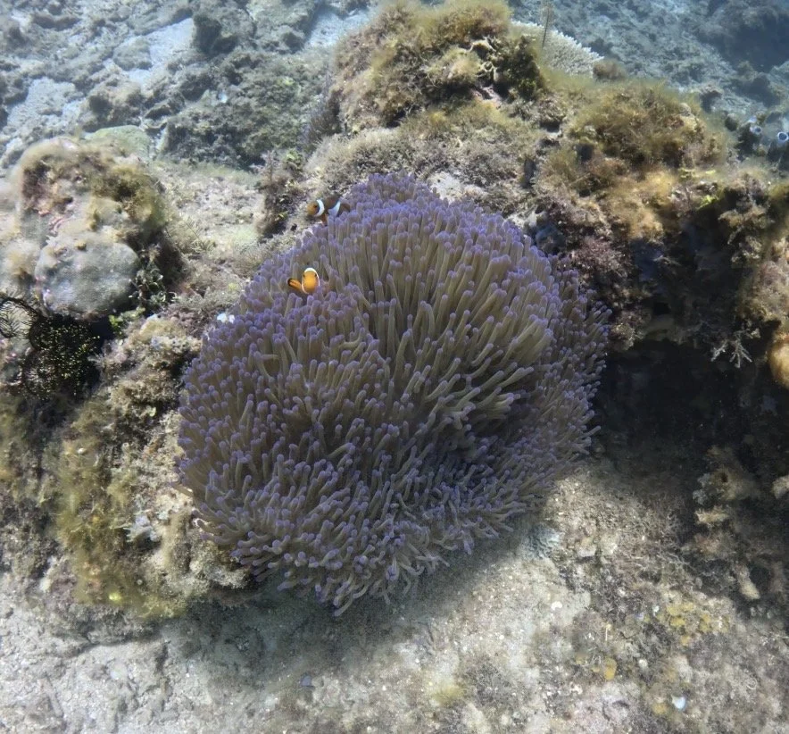 PADI Specialty Instructor training with Seaira Dives