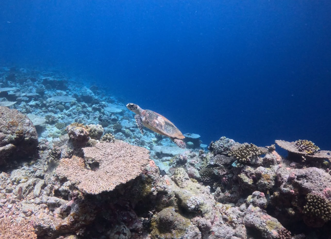 Seaira Dives group trip photo