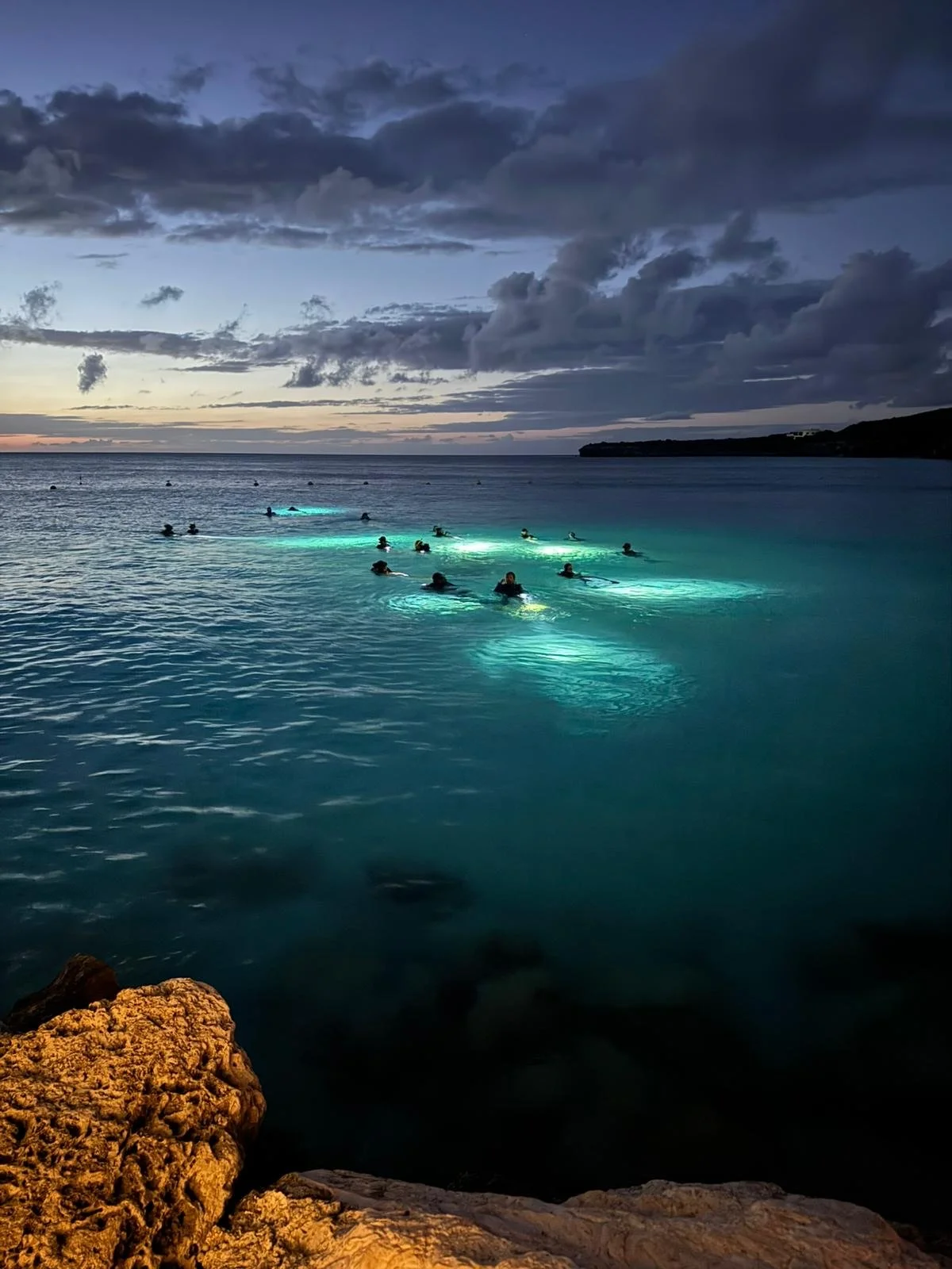 Night dive